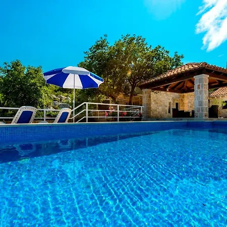 Hedera Estate Hedera Xiv *