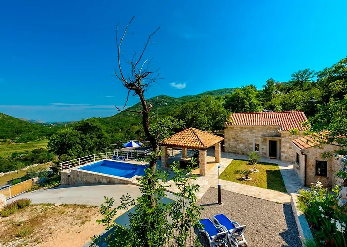 Hedera Estate Hedera Xiv *